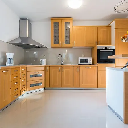 Tina With Swimming Pool, Tennis Court, Games Room, Sauna, Gym, Bbq Vila Policnik