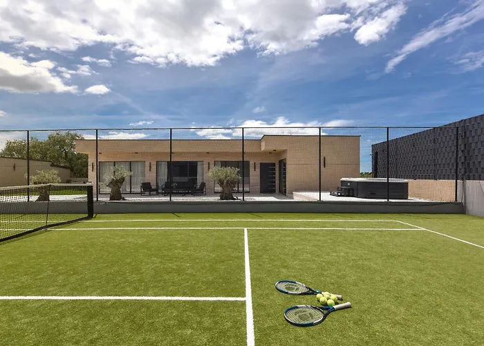 Tina With Swimming Pool, Tennis Court, Games Room, Sauna, Gym, Bbq Villa Policnik